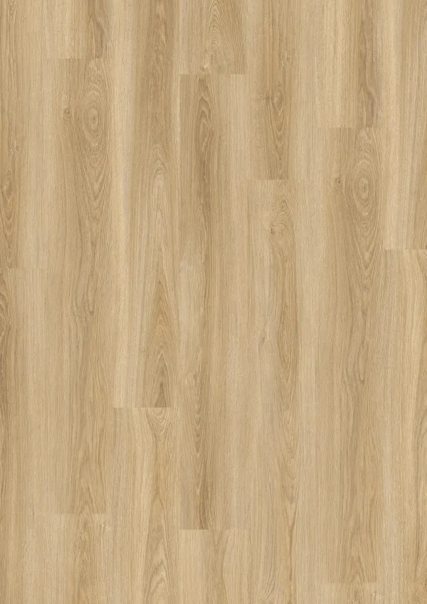 LVT DESIGN 555 Evolut DB 5902 Frosty Oak