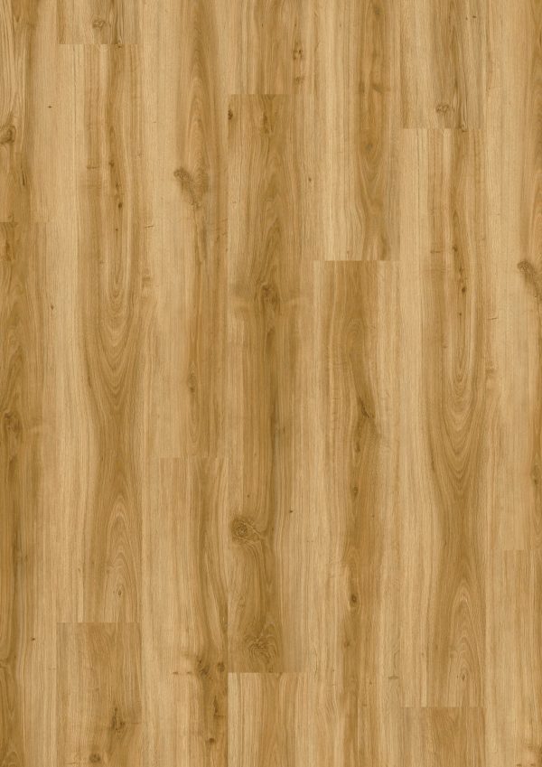 LVT DESIGN 555 Evolut DB 5903 Amber Oak