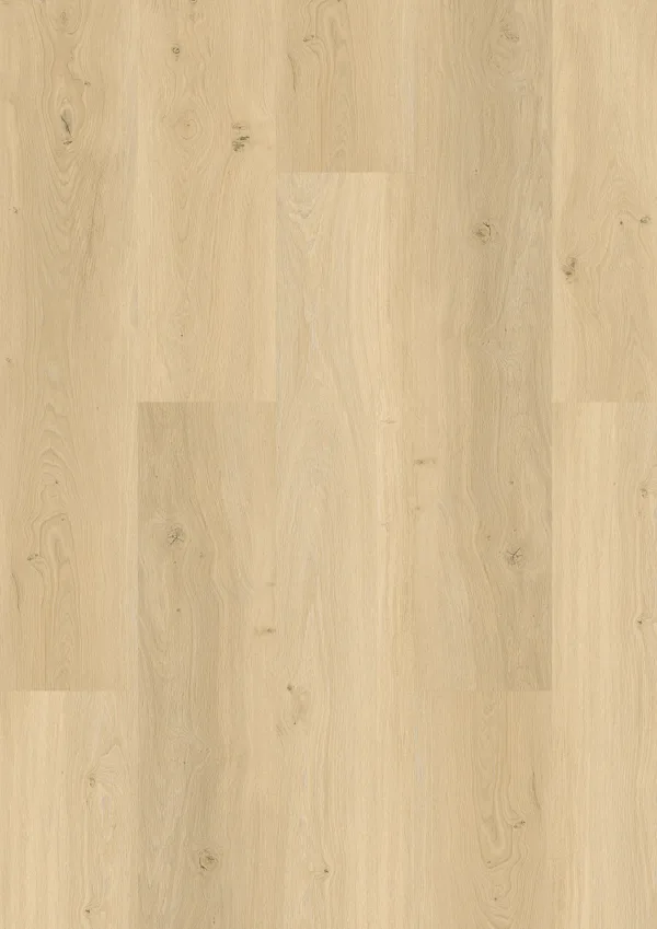LVT DESIGN 555 Wooden Styles DB 5703 Oak nordic