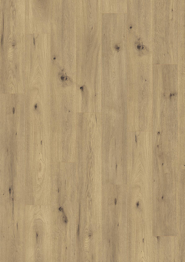 Laminaat Oak Spirit – WST Madison City 431 (7 mm)