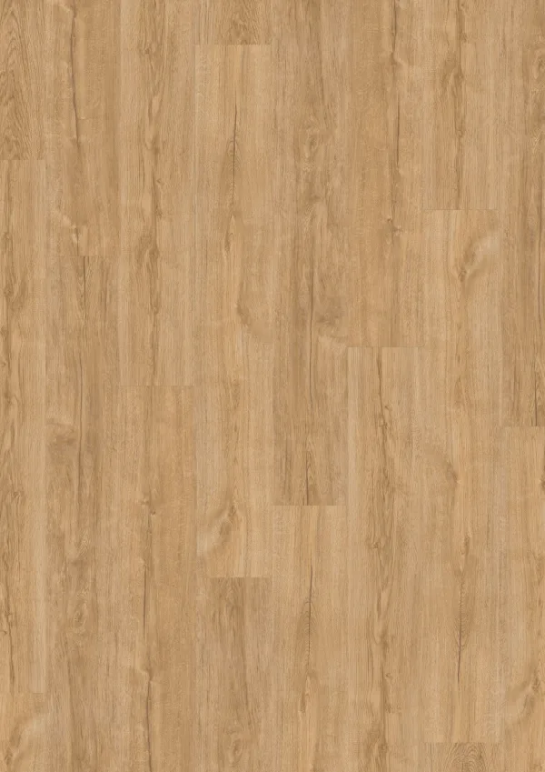 Plak PVC French Blond Oak – WST Design 555 (2,5 mm)