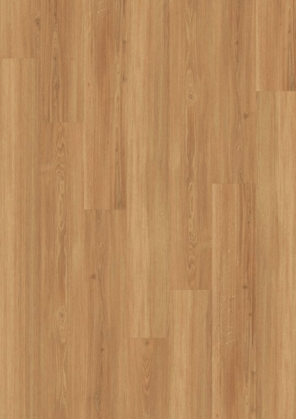 Plak PVC Incredible Light Oak – WST Design 555 (2,5 mm)