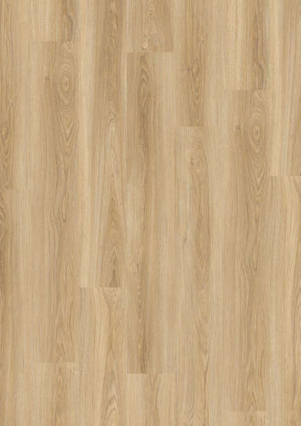 LVT DESIGN 555 Evolut 902 Frosty Oak