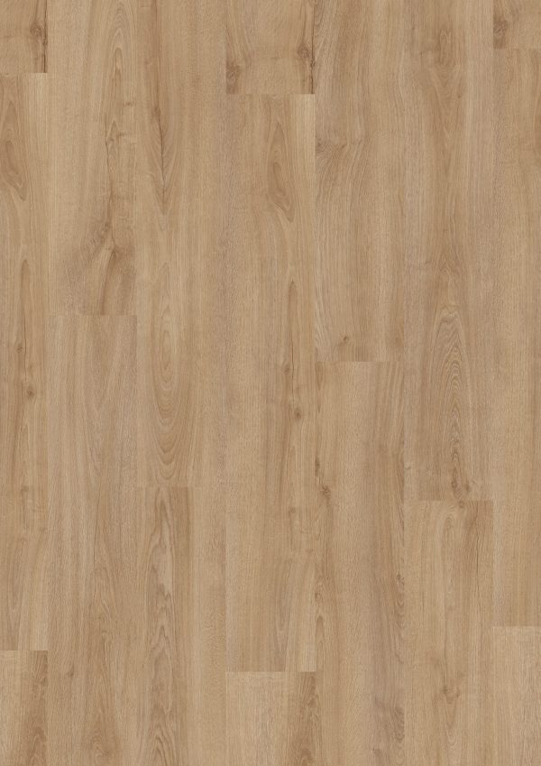LVT DESIGN 555 Evolut 911 Forest Oak