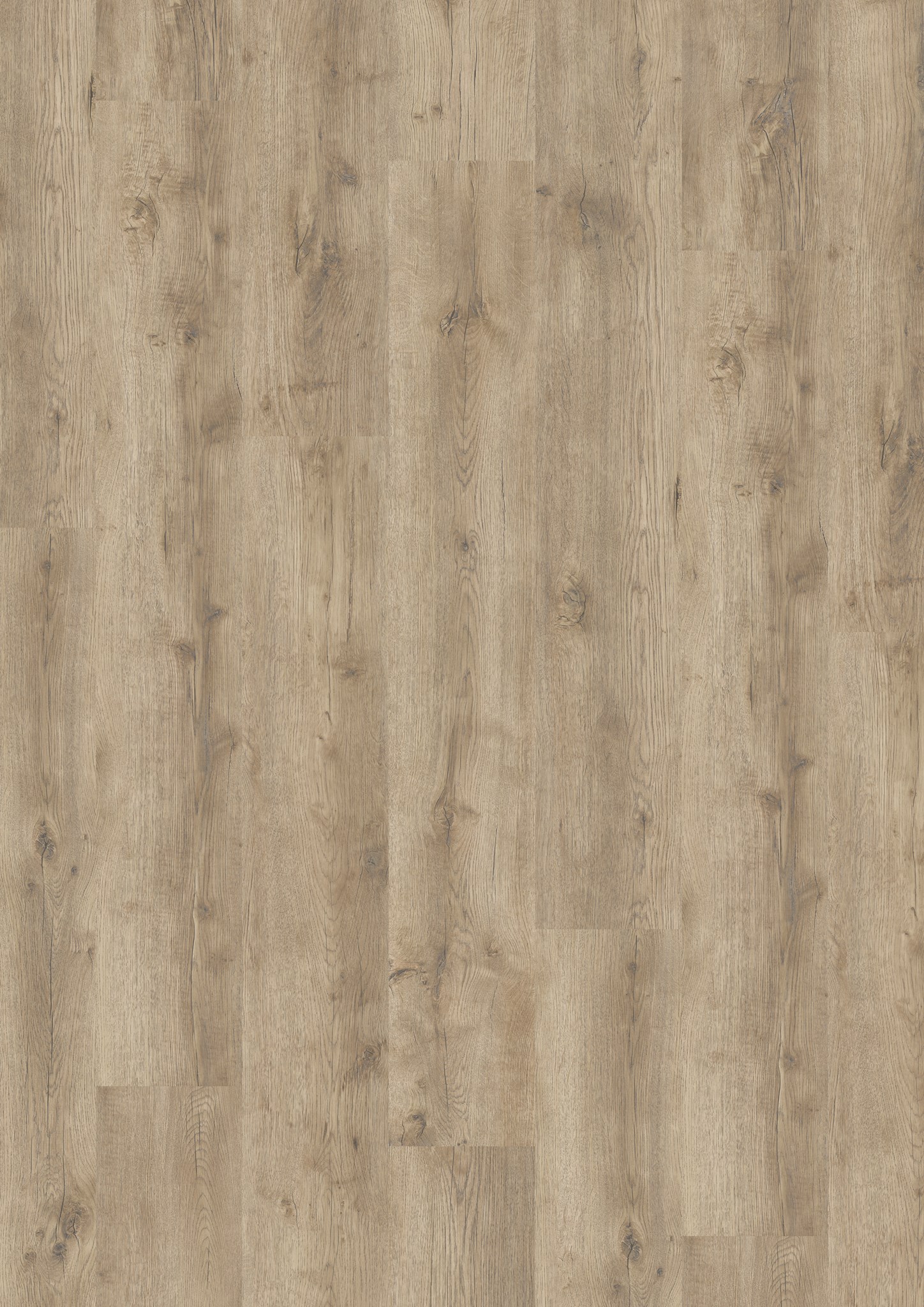 LVT DESIGN 555 Evolut DB 5907 Taupe Oak