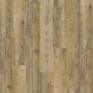 Klik PVC Blond Pine – JOKA Design 555 (6 mm)