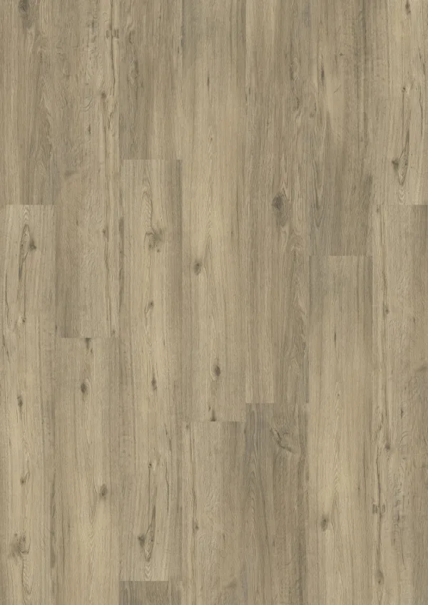 Klik PVC Spring Oak – WST Design 555 (6 mm)