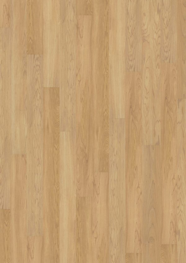 LVT Design 340 DB 2819 Creamy Maple