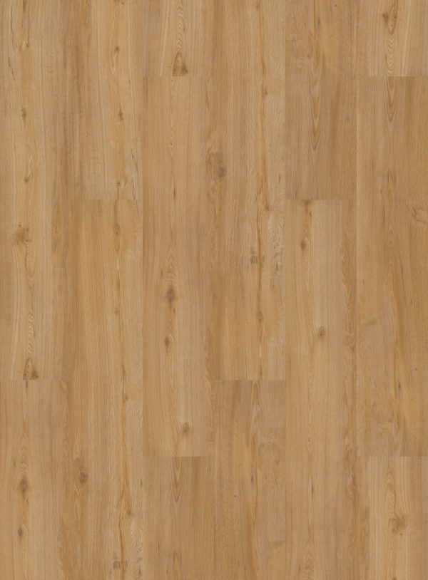 LVT Homeline 30 Click 31-19 Feldeiche Natur