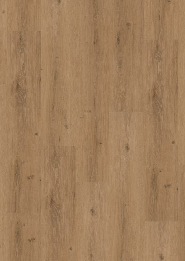 LVT Homeline 30 Click 31-20 Steineiche