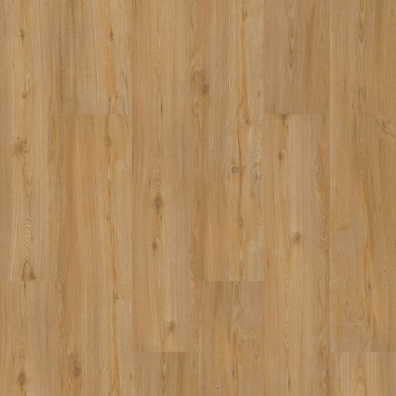 LVT Homeline 55 DB 55-19 Feldeiche Natur