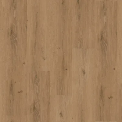 LVT Homeline 55 DB 55-20 Steineiche kopen bij Woningstoffering Totaal