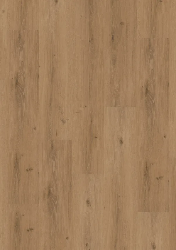 LVT Homeline 55 DB 55-20 Steineiche