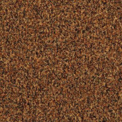 JOKA Schoonloop Earth 200cm EA 44 Goud/bruin kopen bij Woningstoffering Totaal